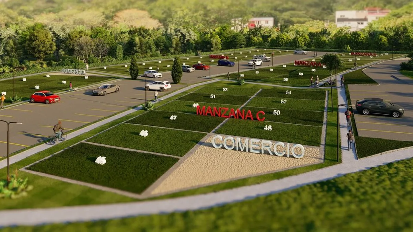 Loteo terminado con vías internas y andenes construidos