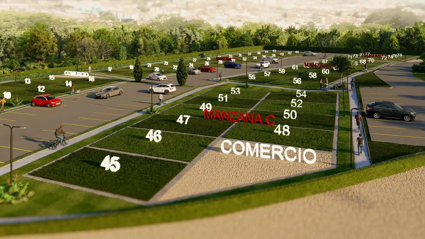Manzanas C y D con la zona destinada a comercio